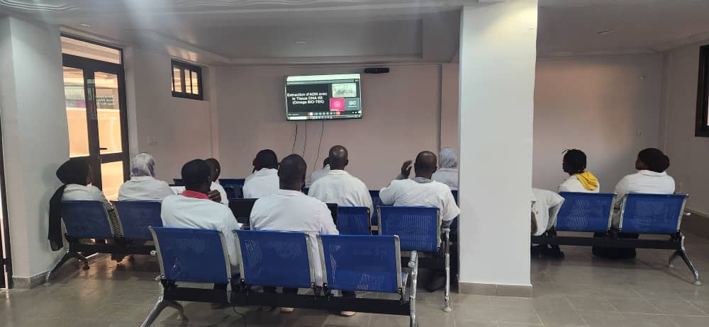 Formation en ligne
